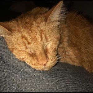 Meet your Posher, Melanie